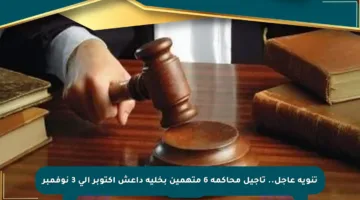 تنويه عاجل.. تأجيل محاكمة 6 متهمين بخلية داعش أكتوبر إلى 3 نوفمبر